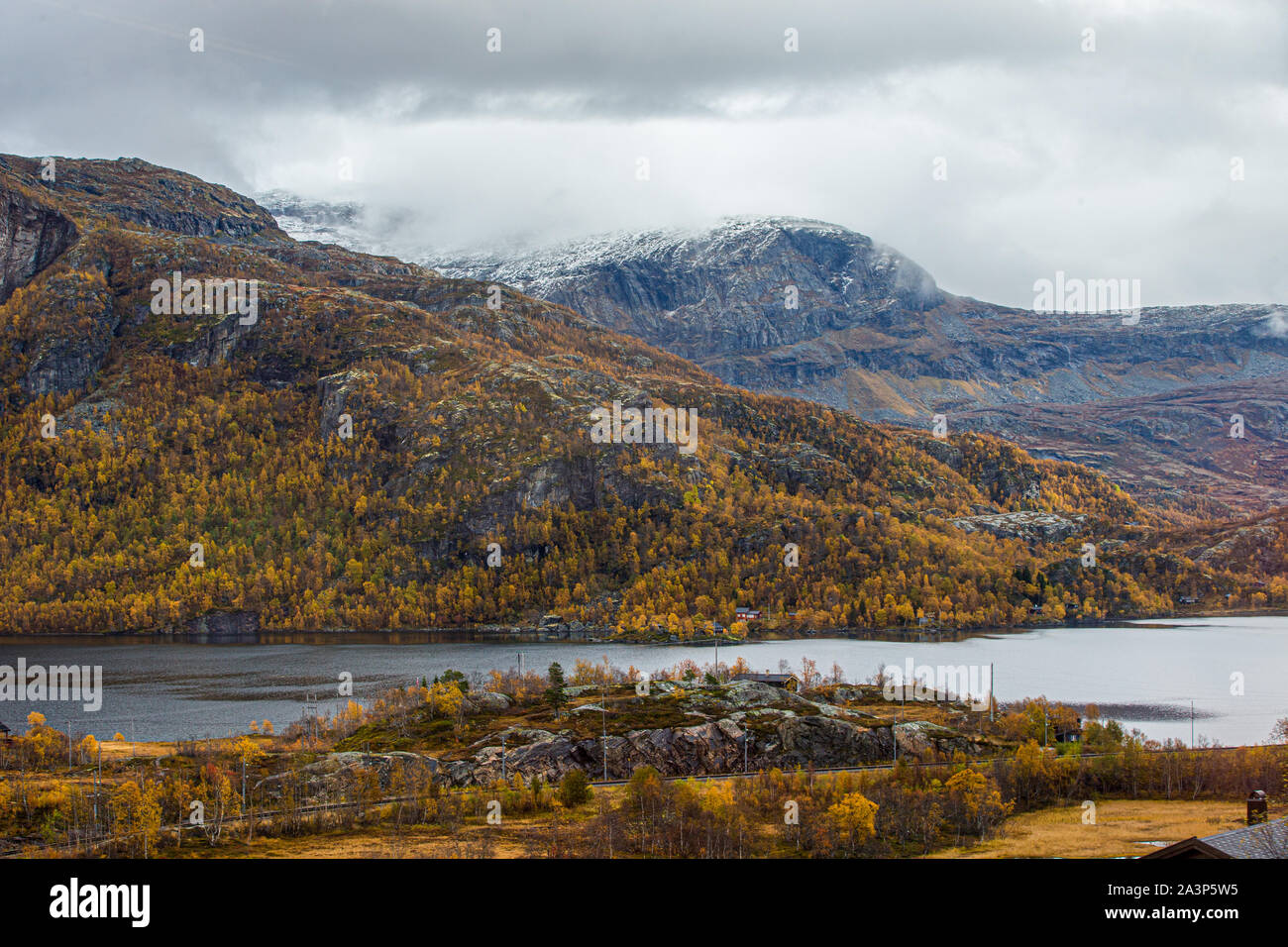Le montagne coperte di alberi d'autunno. La Norvegia. Foto Stock