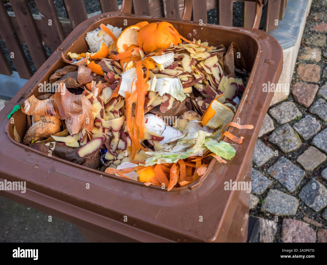 Bio i rifiuti nel cestino Foto Stock