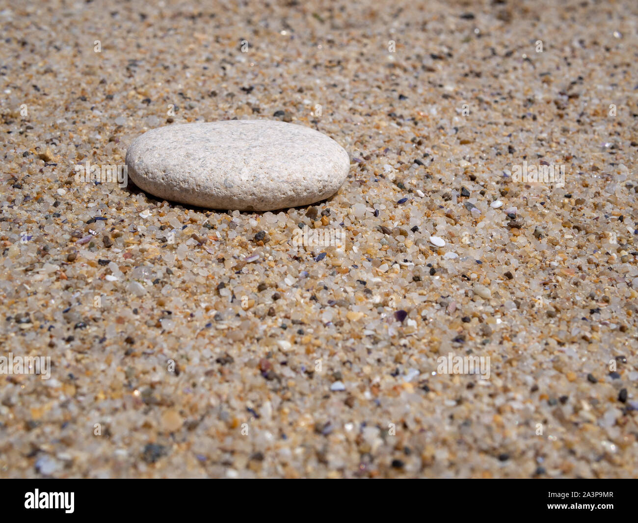 Un sassolino nella sabbia. Una singola pietra distesi sulla sabbia. Posto per il testo. Colori pastello, alla luce del sole. Spiaggia di sabbia la texture. Foto Stock