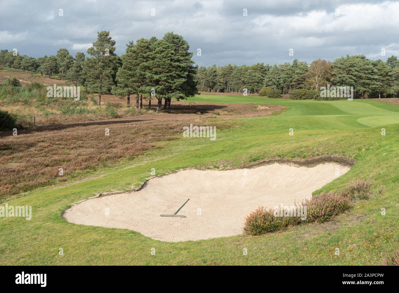 Vista di Sunningdale Golf club o in Berkshire, Inghilterra, Regno Unito Foto Stock
