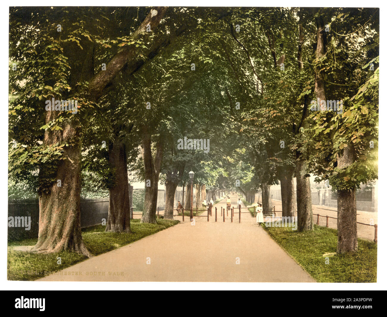 A sud a piedi, Dorchester, Inghilterra fa parte di: Viste delle isole britanniche, nella stampa Photochrom collection. Foto Stock