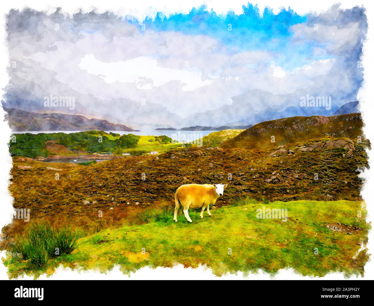 Un acquarello di una pecora nelle Highlands della Scozia Foto Stock