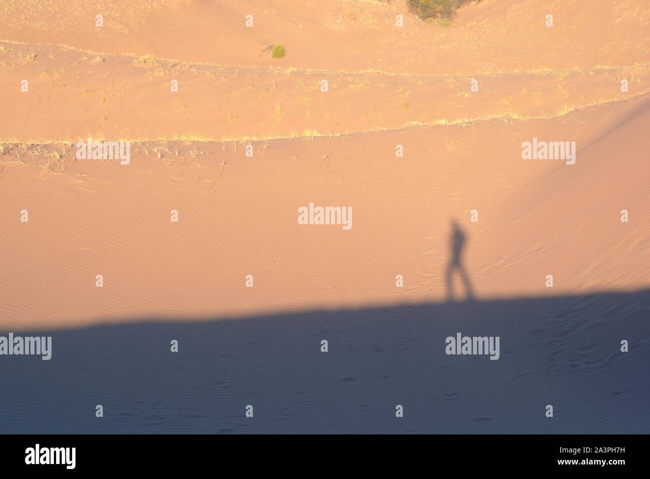 Lone explorer sul deserto, colata ombra sulle dune di sabbia in una calda giornata di sole. Foto Stock
