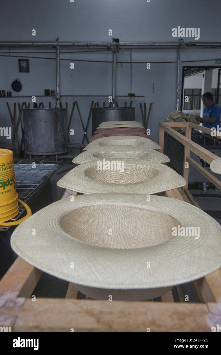 Tradizionale Panama cappelli (paja toquilla), che in realtà provengono da Ecuador Foto Stock