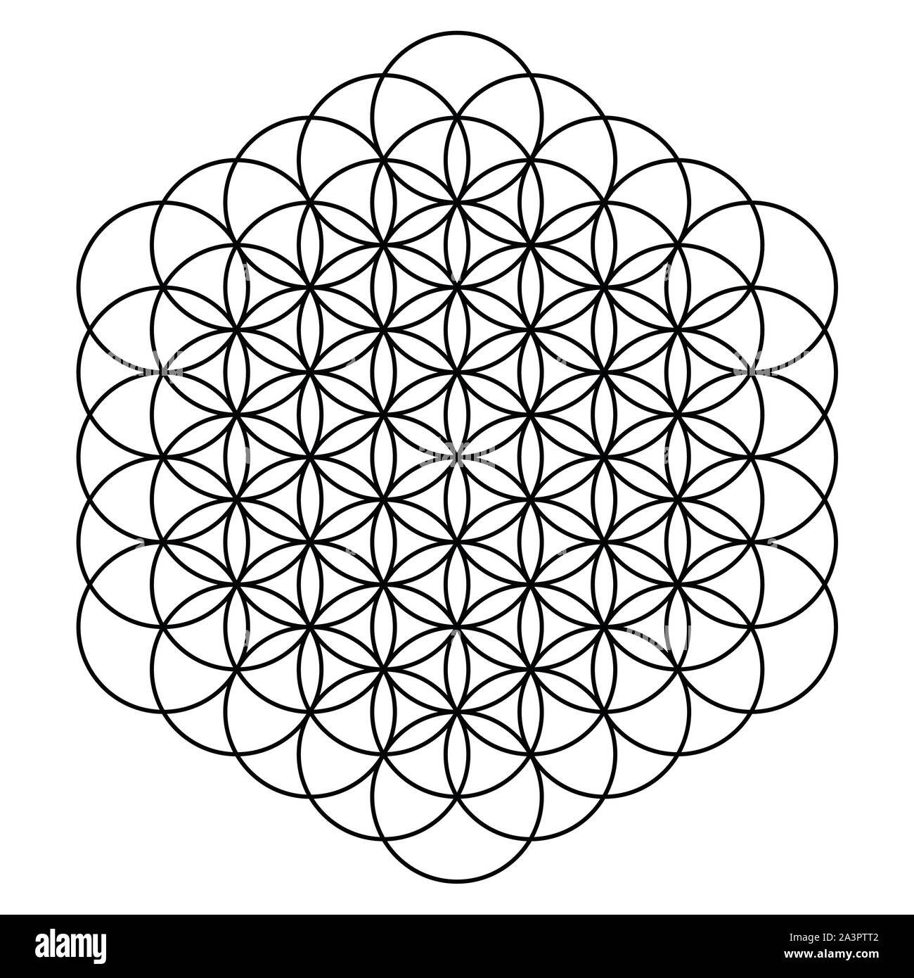 Fiore della Vita 61 cerchi - nero Illustrazione Vettoriale