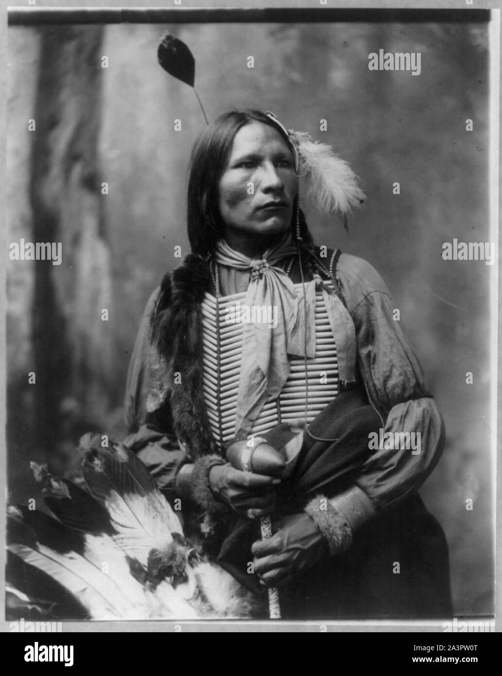 Le stelle vengono fuori Foto Stock