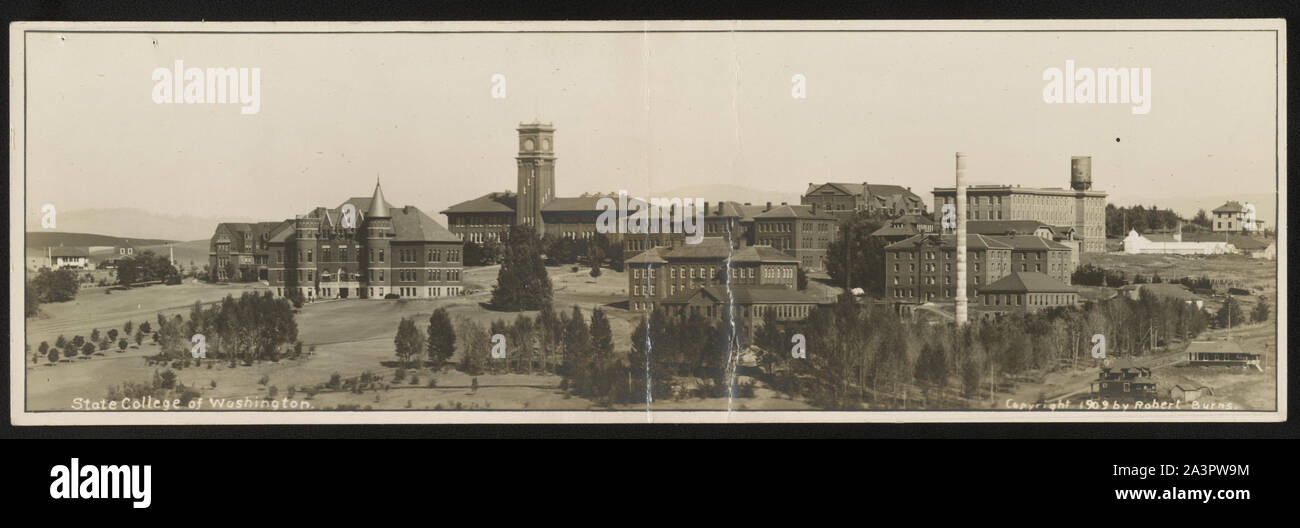 Stato l'Università di Washington Foto Stock