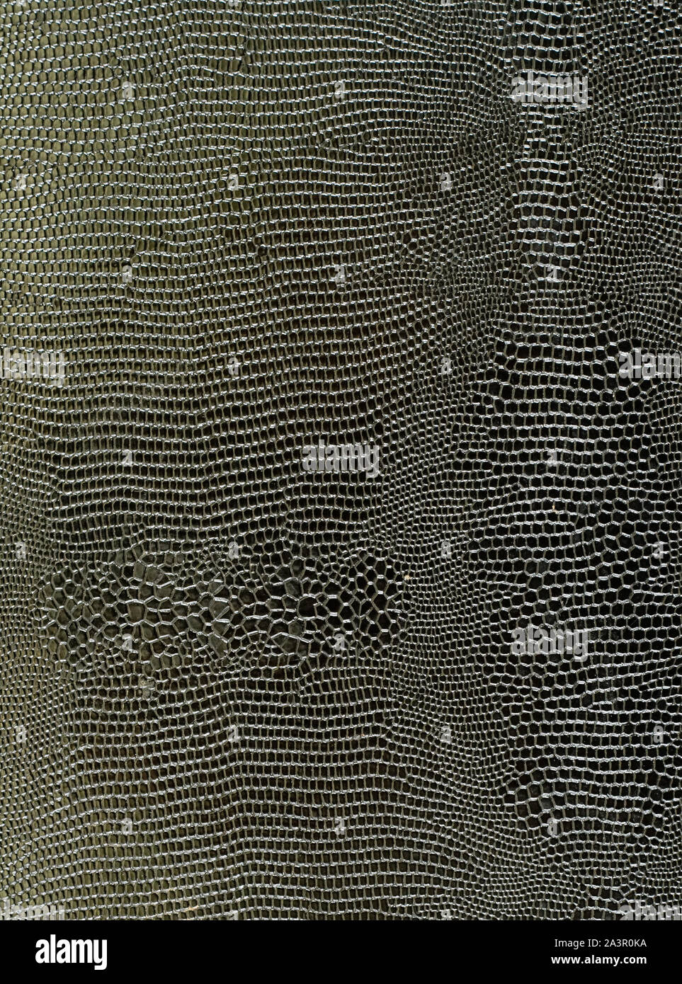 Big Black snake la texture della pelle catturati in natura Foto Stock