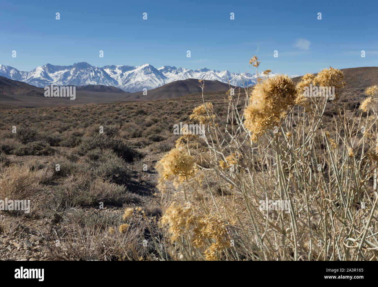 Un arido deserto paesaggio sostenuta da montagne coperte di neve. Foto Stock