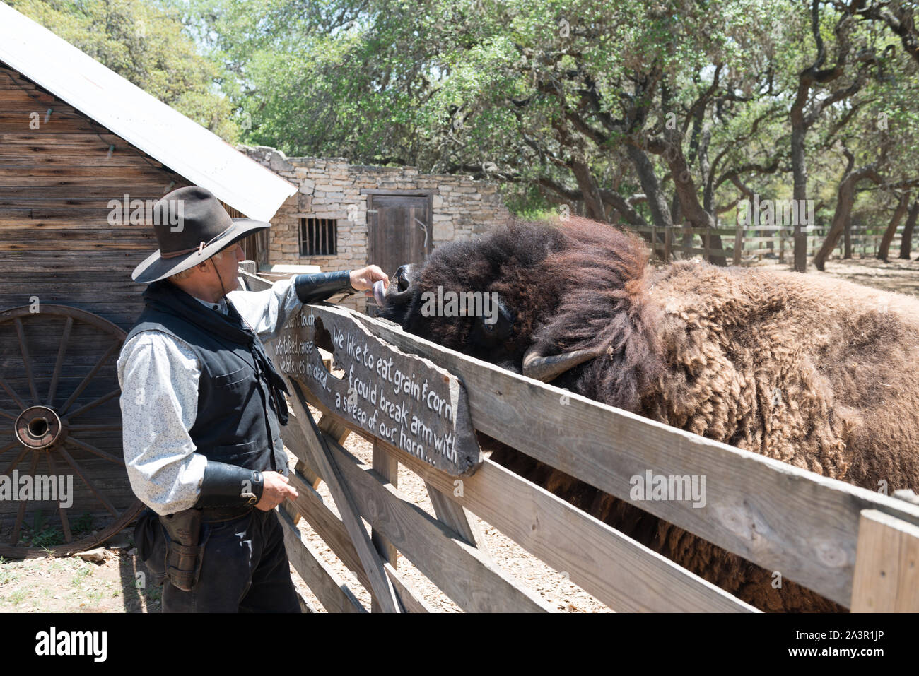 Steve Schmidt, lo sceriffo in città molle incantata Ranch e Old West theme park, speciale-eventi venue, e frequente di film e televisione commerciale in set Boerne, Texas, a nord-ovest di San Antonio, controlli su uno dei ranch di bufali. Schmidt, un proprietario terriero e pensionati B52 pilota, possiede il funzionamento Foto Stock