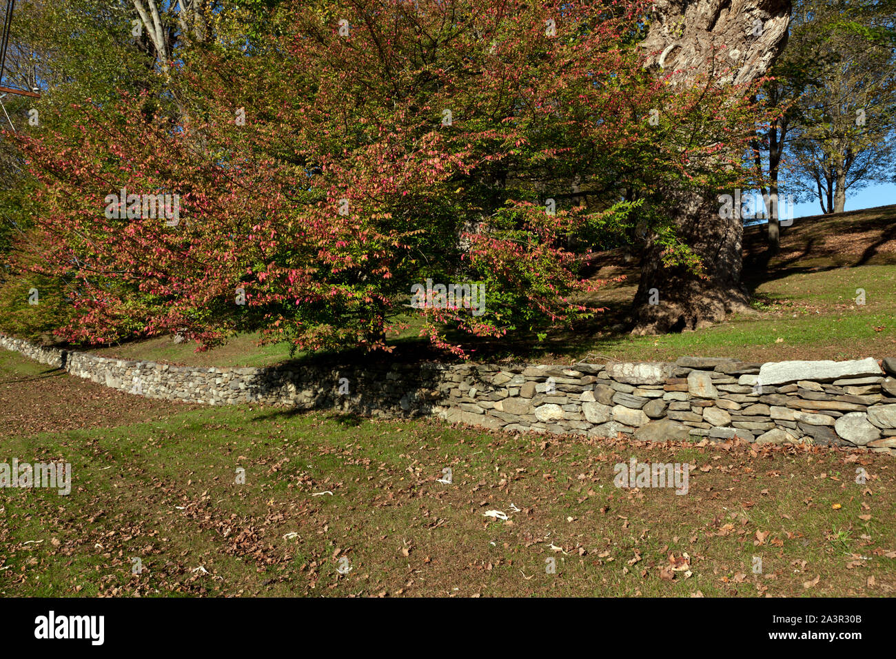 Recinzione di pietra nel centro di Pomfret, Connecticut Foto Stock