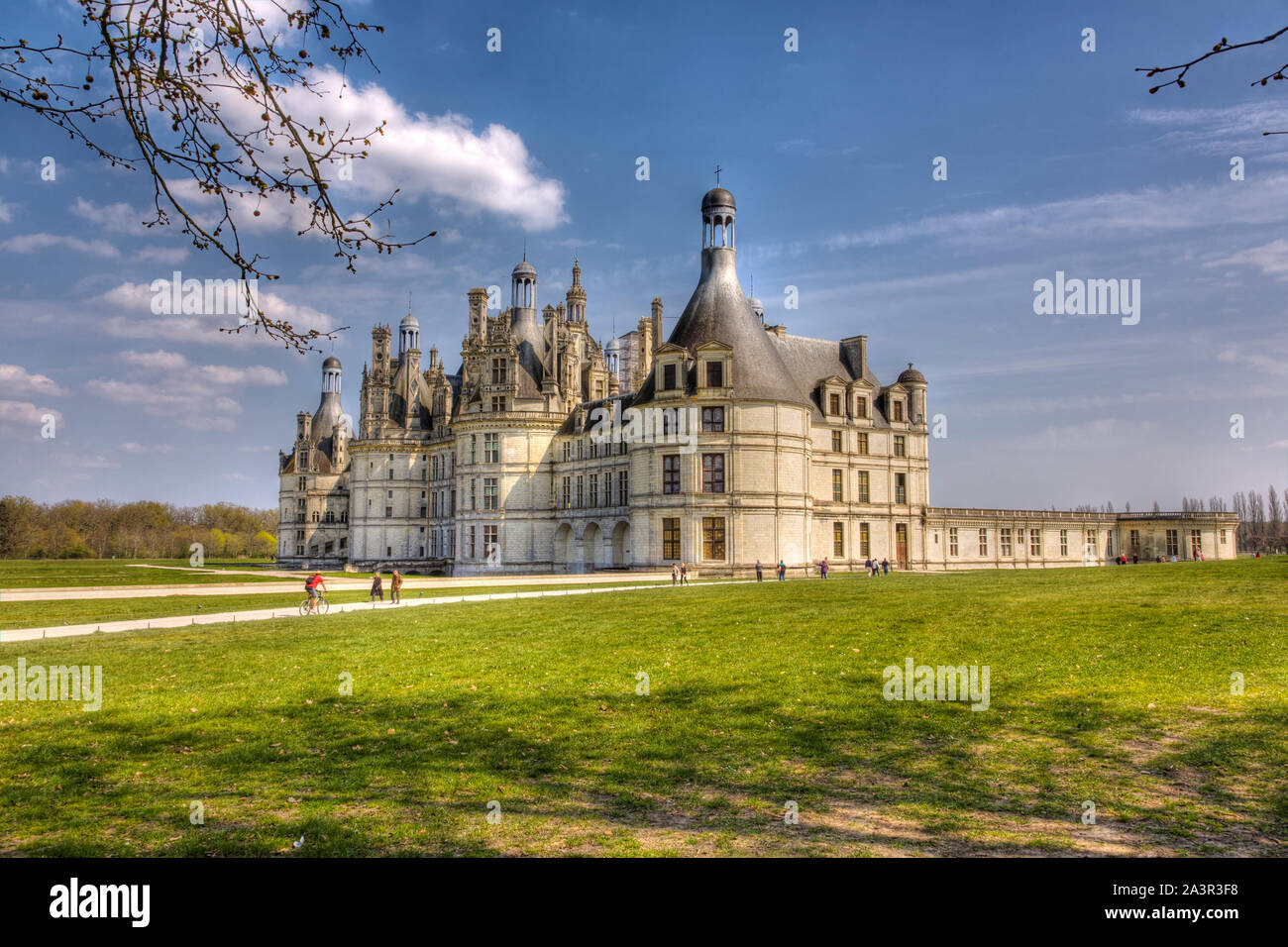 Chateau de Chambord, Valle della Loira, Francia Foto Stock