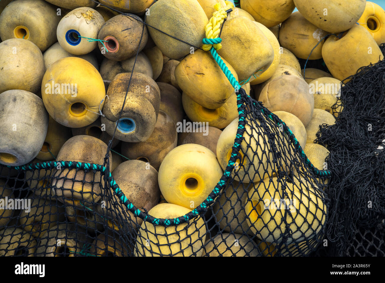 Boe e fishnets Foto Stock
