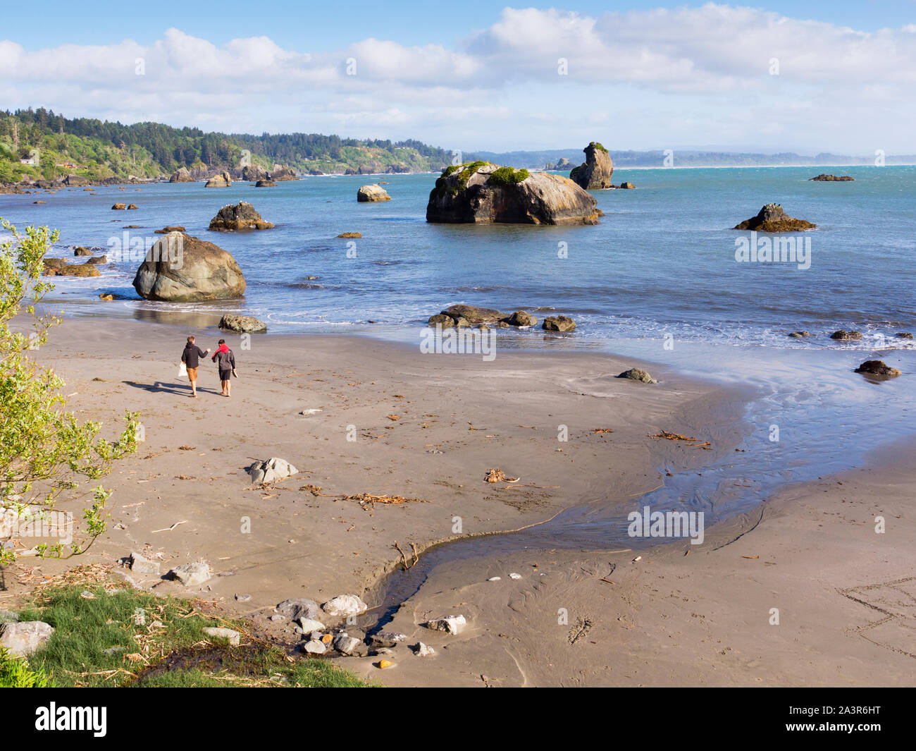 Due persone che camminano sulla spiaggia di Trinidad, CA Foto Stock
