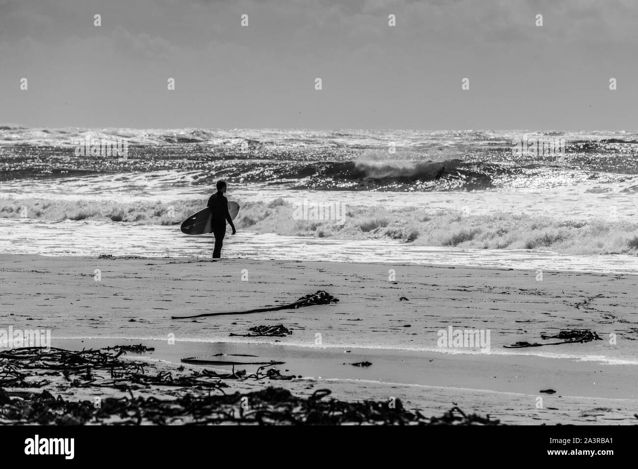 Un surfista sul Sud Africa del litorale atlantico orologi il break al Kommetjie surf spot della lunga spiaggia, nei pressi di Città del Capo Foto Stock