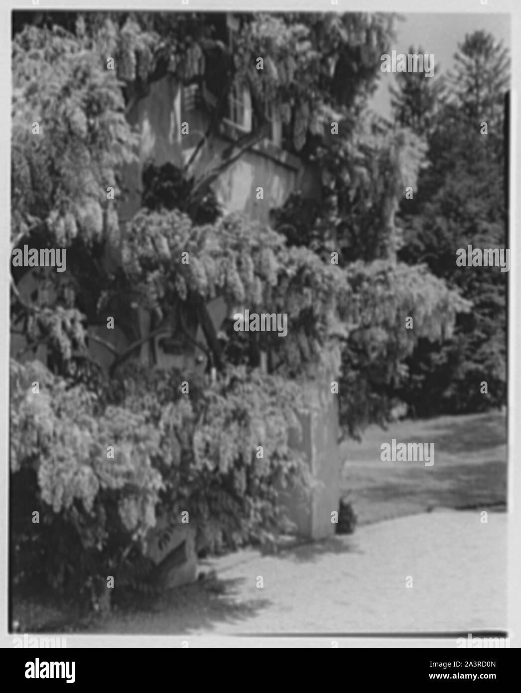 Sunnyside restauro, Washington Irving House, Tarrytown, New York. Foto Stock