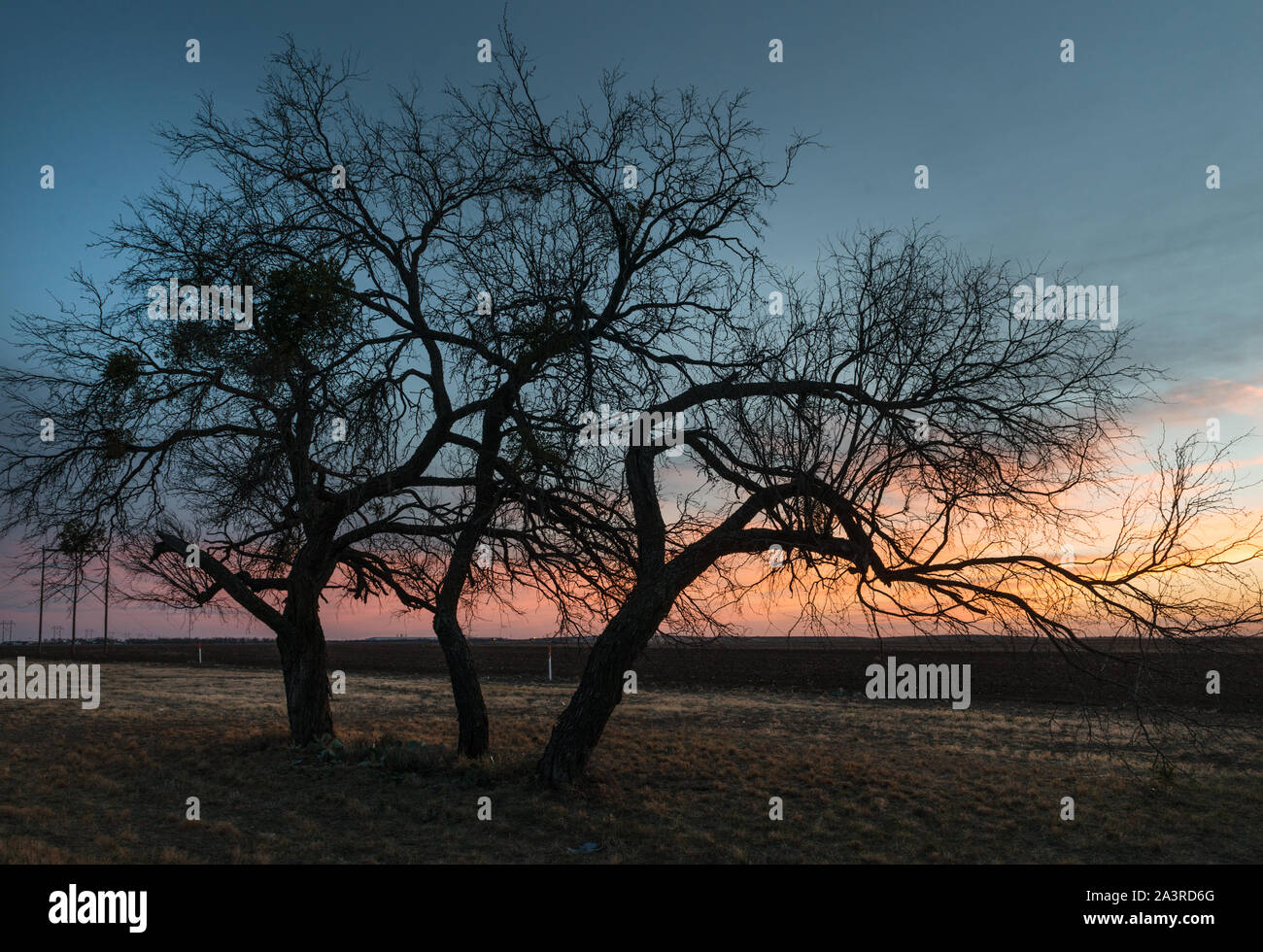 Tramonto nelle zone rurali di Tom Green County, Texas, nei pressi di San Angelo Foto Stock