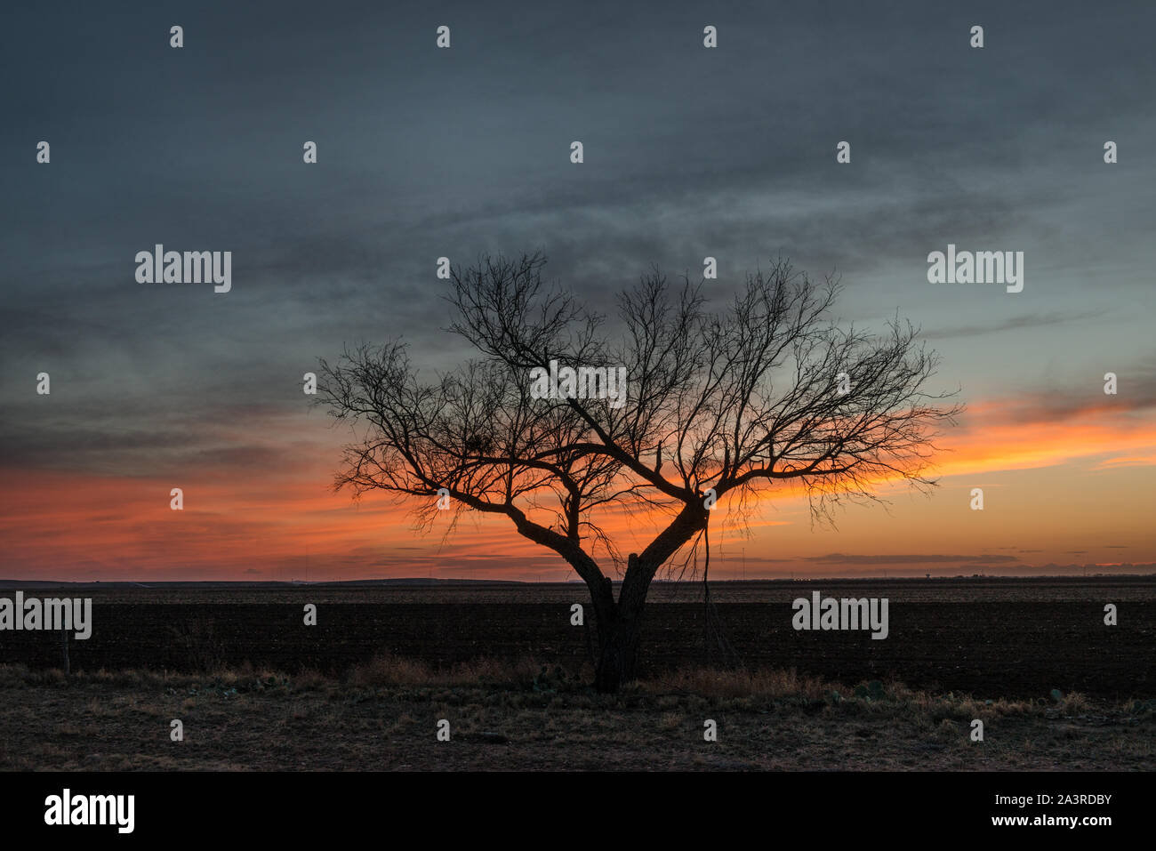 La scena del tramonto nelle zone rurali di Tom Green County, Texas, a nord-est di San Angelo Foto Stock