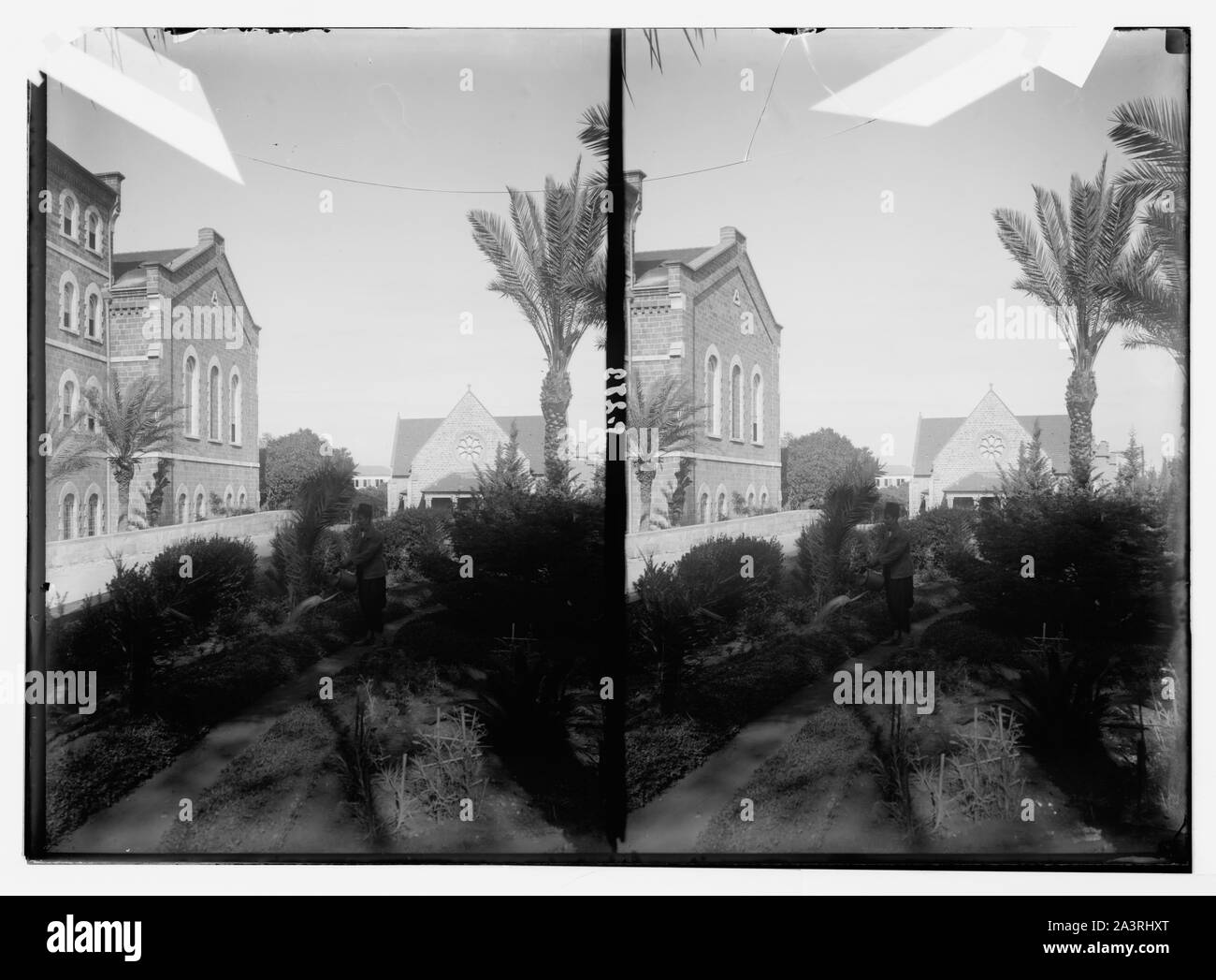 La Siria. Beirut. La American University School of Arts. Foto Stock