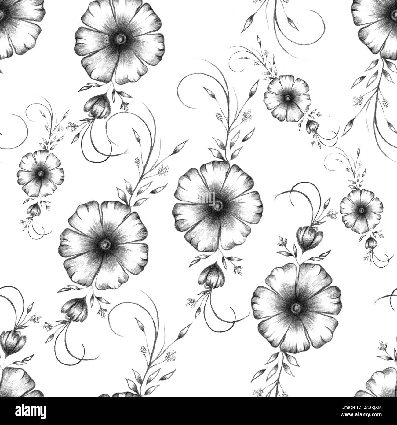 Modello con disegnati a matita fiori, monochrom fiori isolati su bianco, composizione con elementi floreali Foto Stock