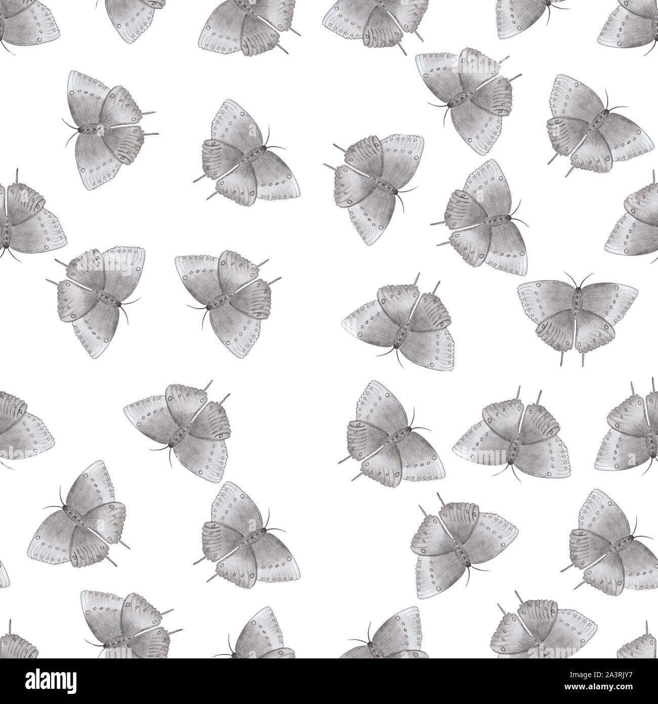 Disegno a matita le farfalle, seamless pattern con farfalle isolato Foto Stock