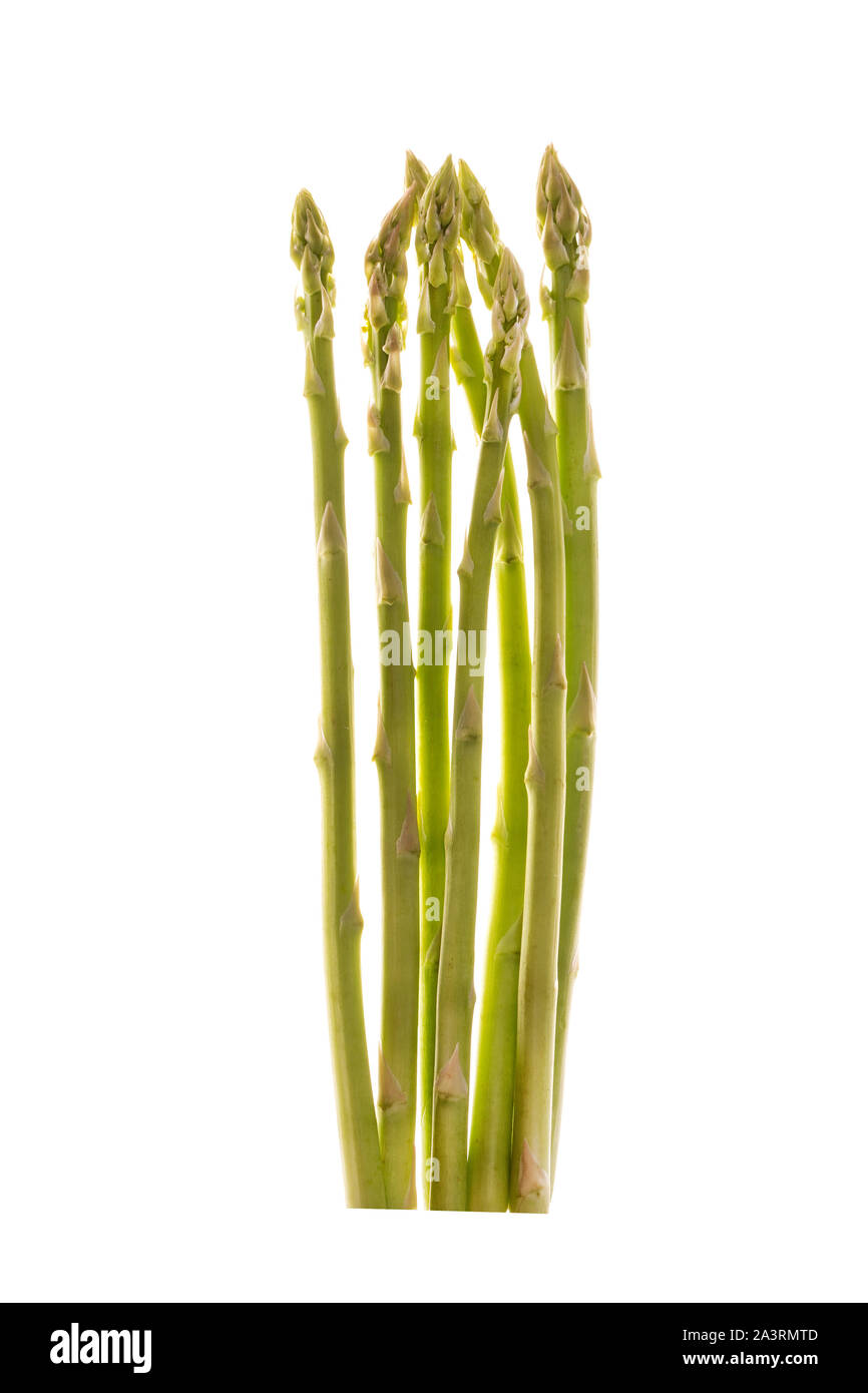 Mazzetto di asparagi su uno sfondo bianco. Foto Stock