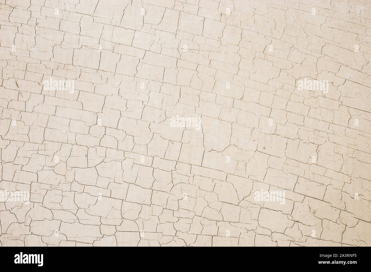 Foto di un legno chiaro texture. Foto Stock