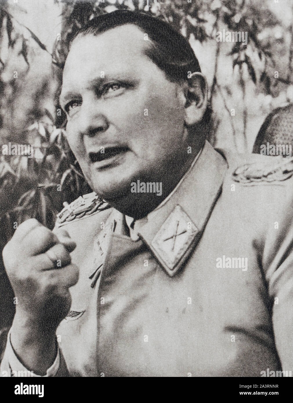 Hermann Wilhelm Göring (1893 - 1946) era un politico tedesco e leader militare così come uno dei più potenti figure nel partito nazista (NSDAP), Foto Stock