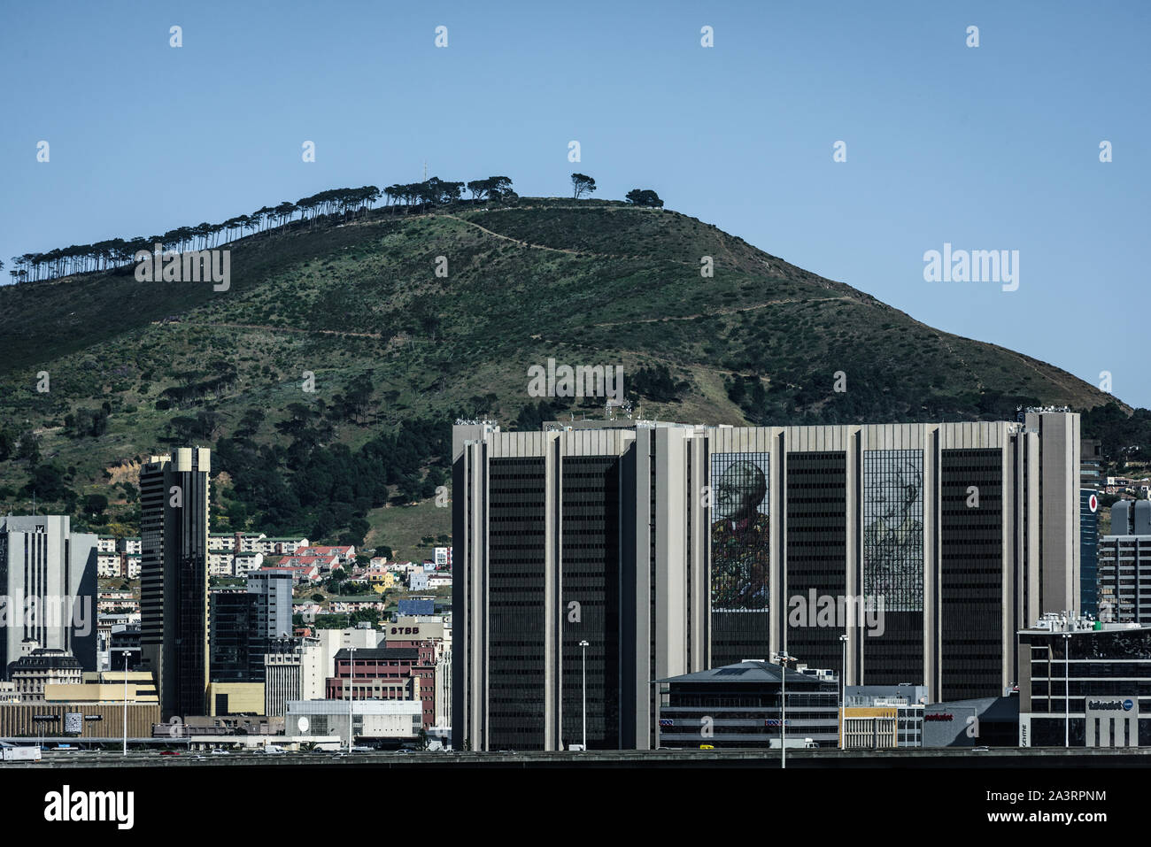 La città di Cape Town uffici comunali visualizzare i ritratti di anti-apartheid lotta veterani Nelson Mandela e l'arcivescovo Desmond Tutu Foto Stock