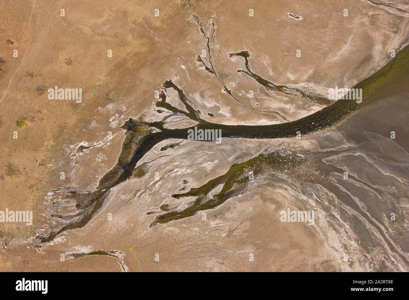 Il Lago Natron, Valle del Rift, Tanzania, Africa Foto Stock