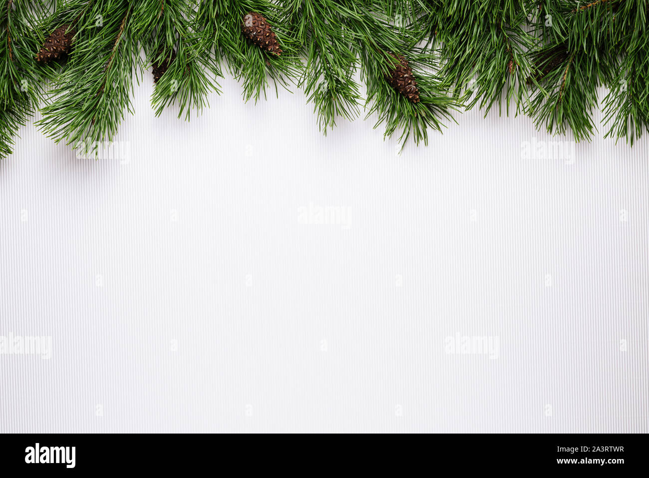 Auguri di Buon Natale o Capodanno sfondo bianco con ramo di pino confine Foto Stock