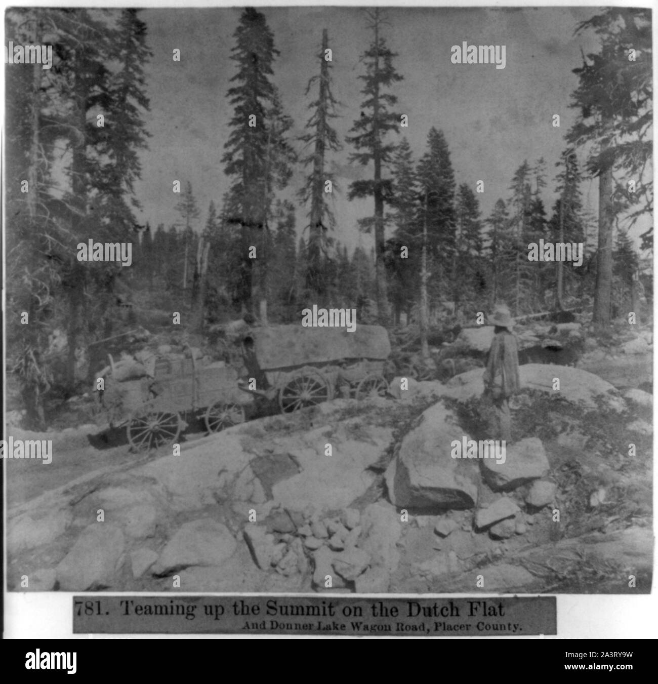 Teaming in su il vertice sul piatto olandese Foto Stock