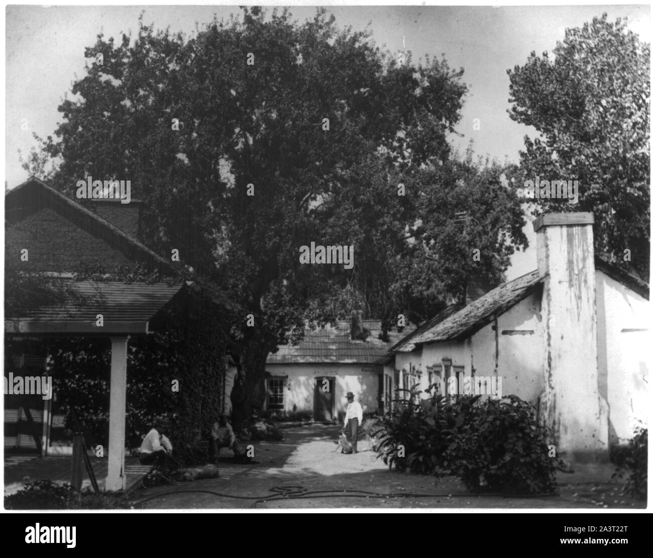 Tejon Ranch, Kern County, Cal. Foto Stock