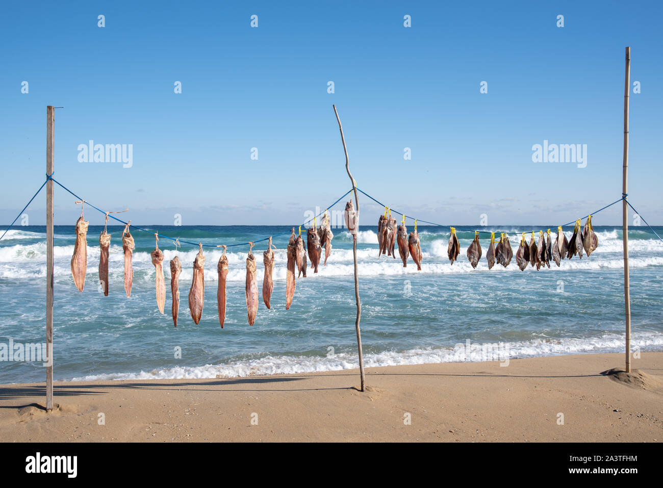 Essiccazione di pesce al vento di mare sulla spiaggia. Foto Stock