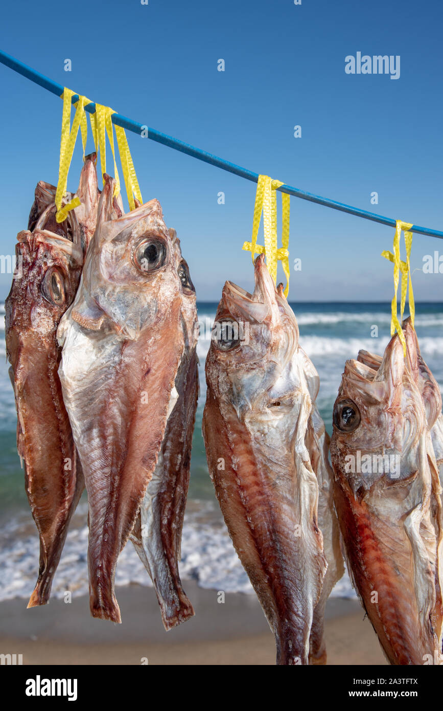 Essiccazione di pesce al vento di mare sulla spiaggia. Foto Stock