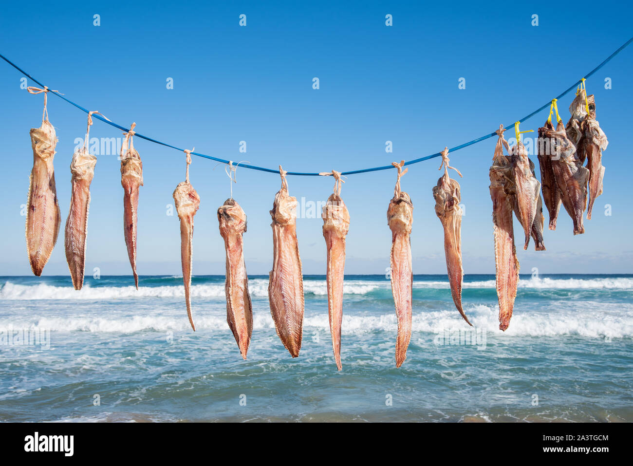 Essiccazione di pesce al vento di mare sulla spiaggia. Foto Stock