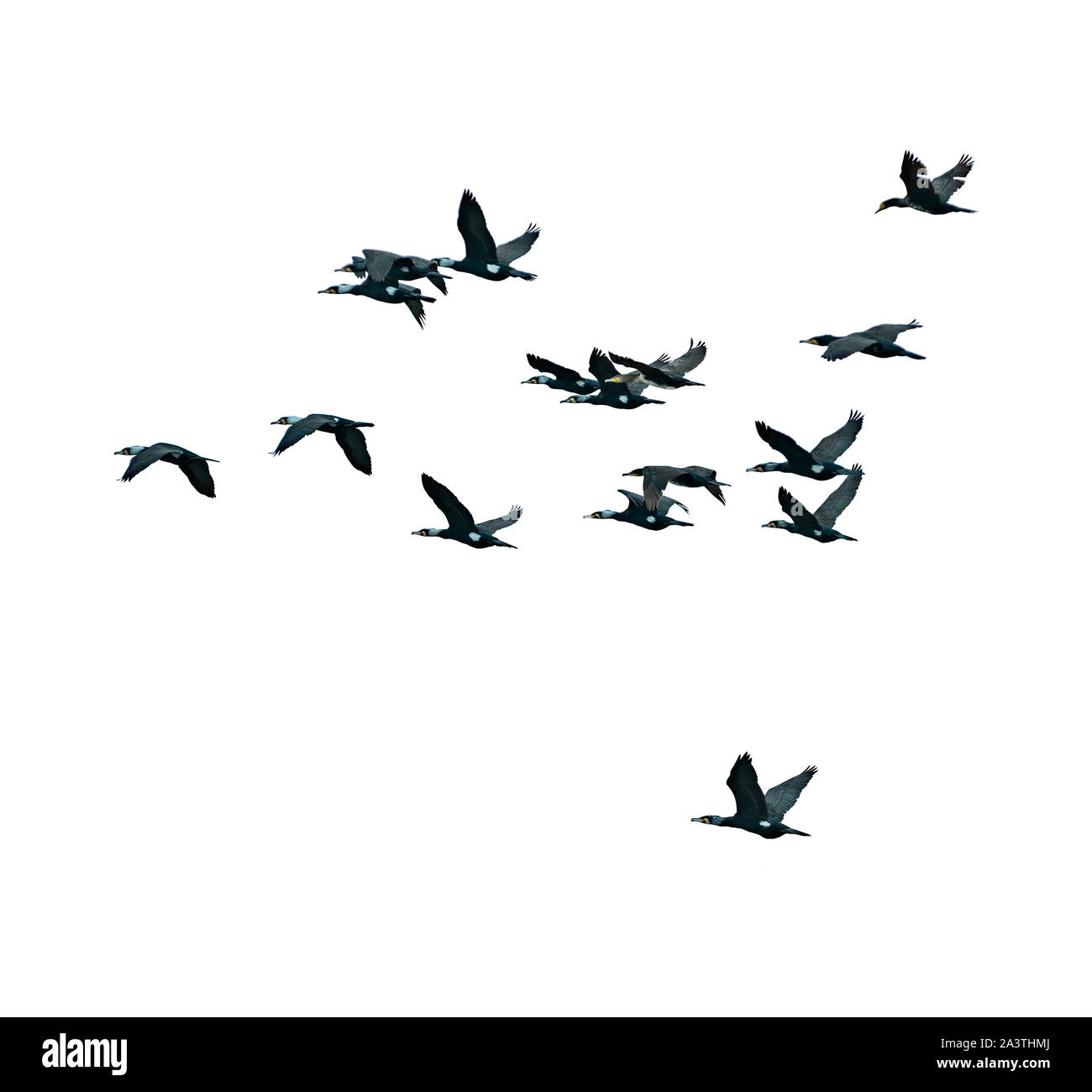 Cielo blu con nuvole closeup, paesaggio naturale Foto Stock