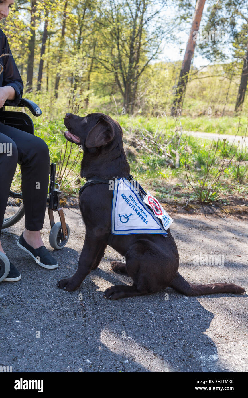 Giovane donna disabile su sedia a rotelle con un cane guida Foto Stock