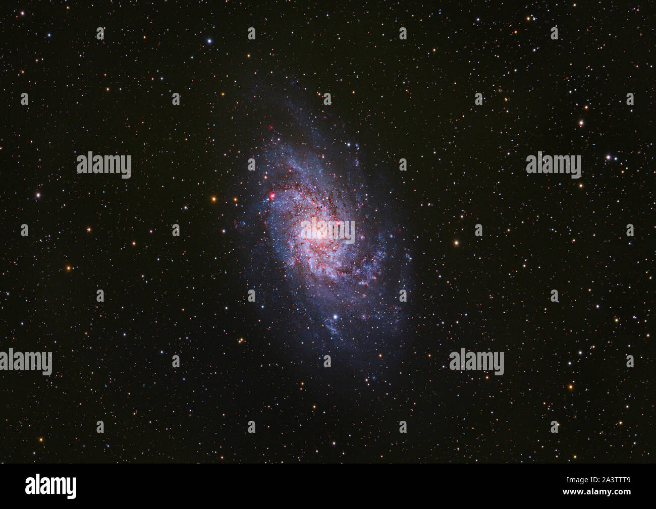 Triangulum galassia M33 Foto Stock