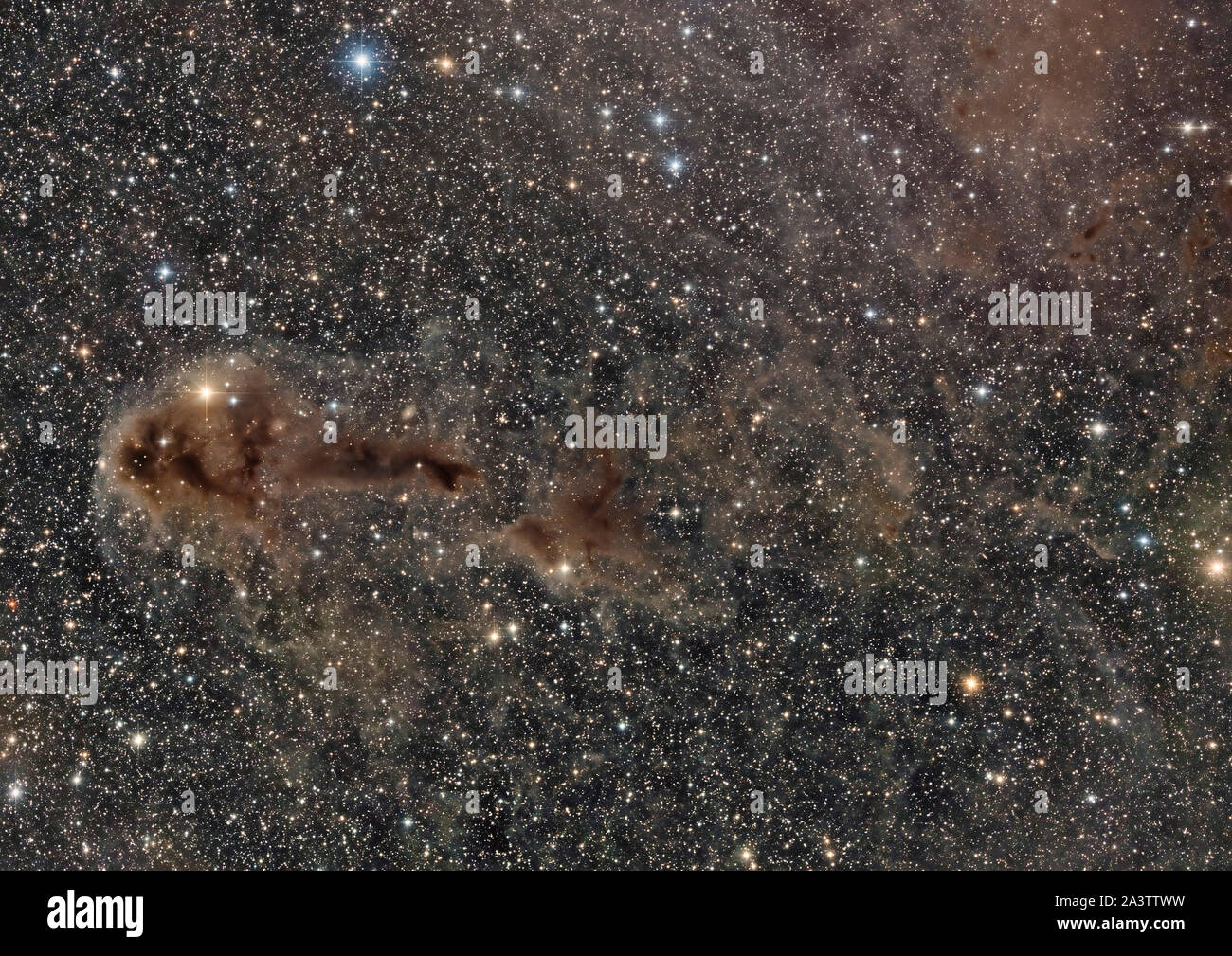LDN 1250 Dark Nebula Foto Stock