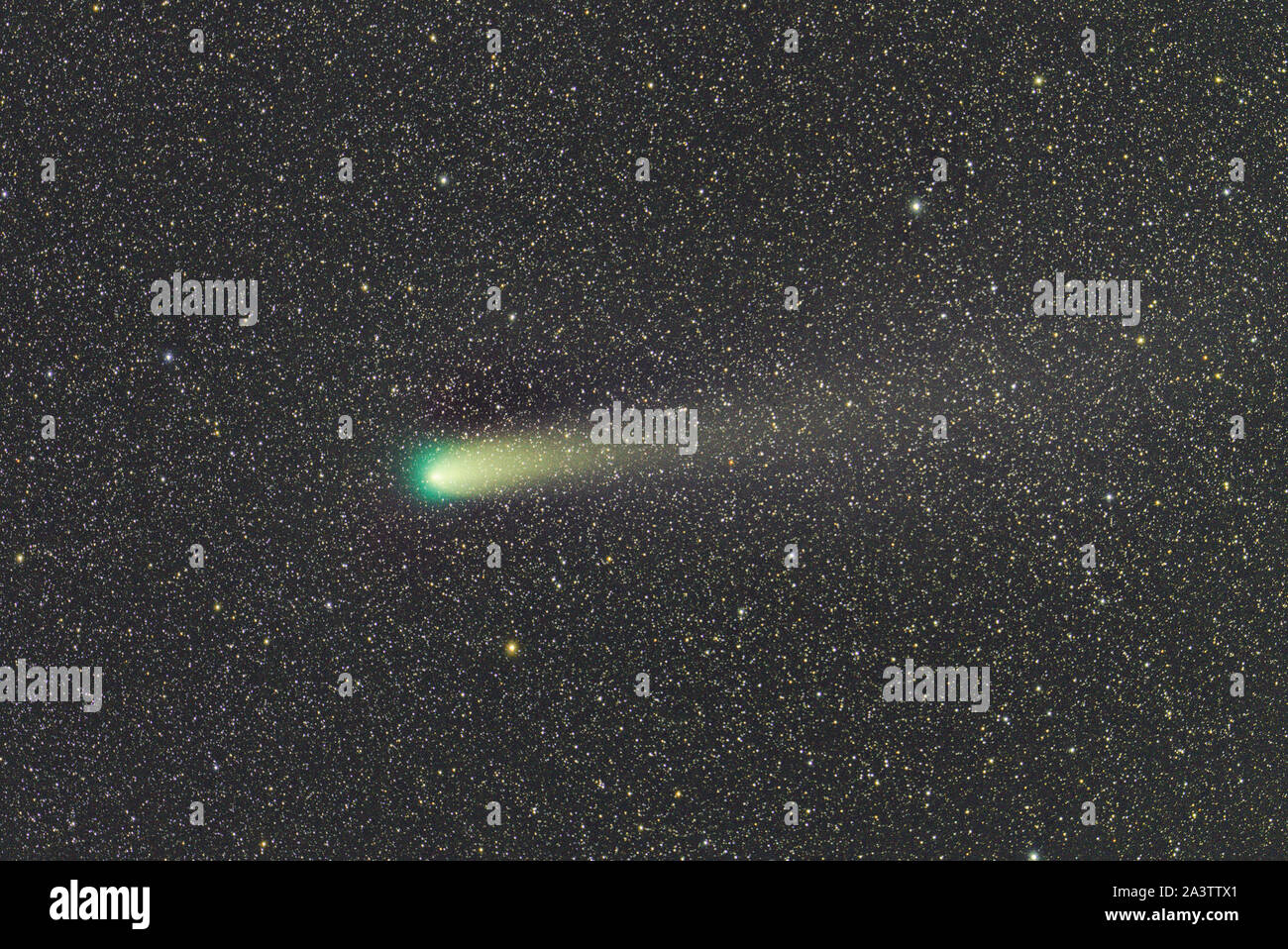 Comet Giacobini-Zinner Foto Stock