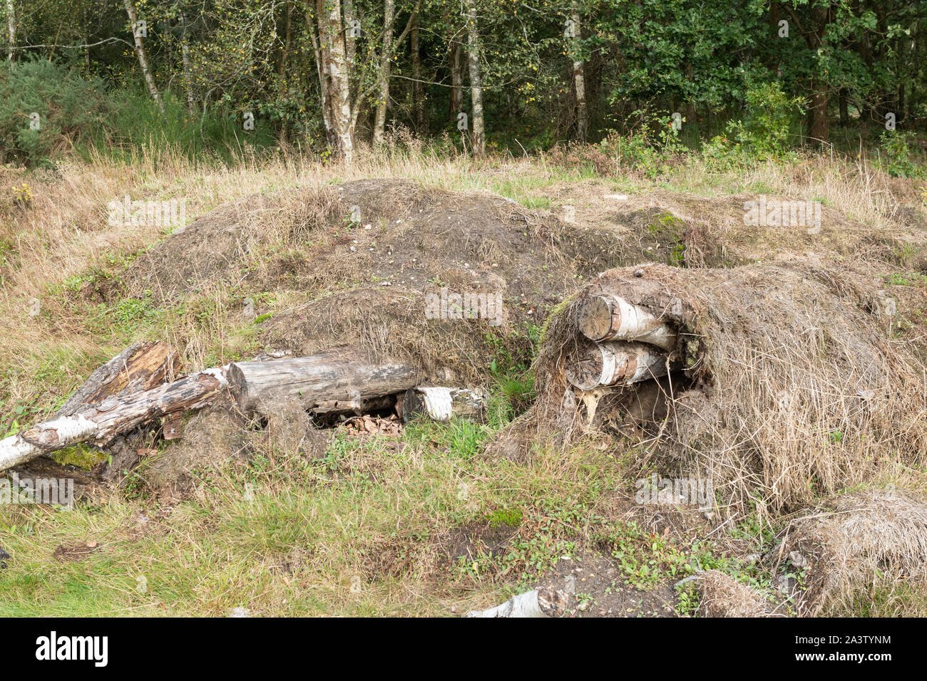 Un hibernaculum artificiale o pila di habitat per rettili e altri animali selvatici di Hibernate in, REGNO UNITO Foto Stock