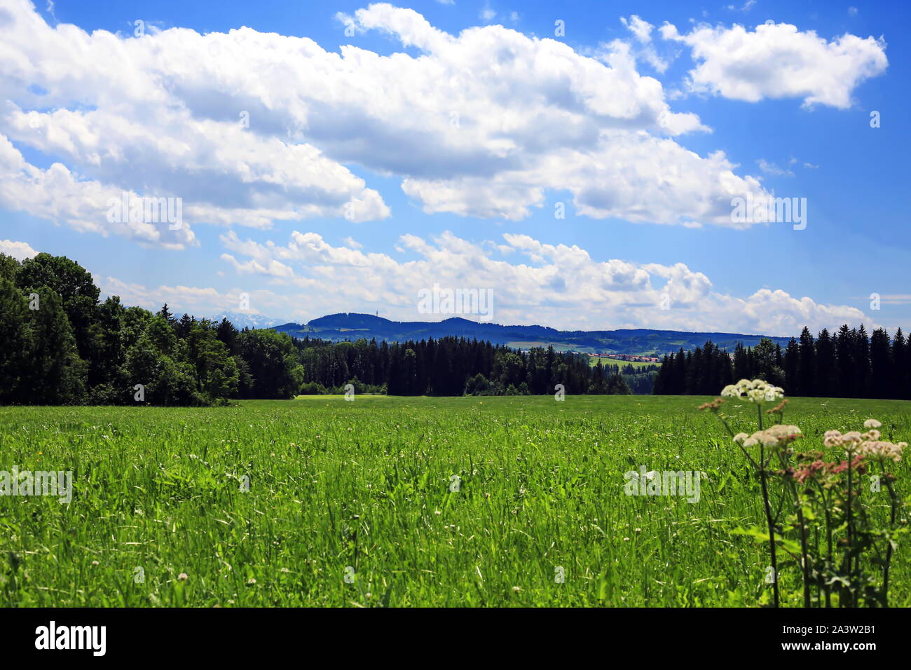 Bad Grönenbach Bad Grönenbach è una città in Baviera, Germania, con molti splendidi paesaggi Foto Stock