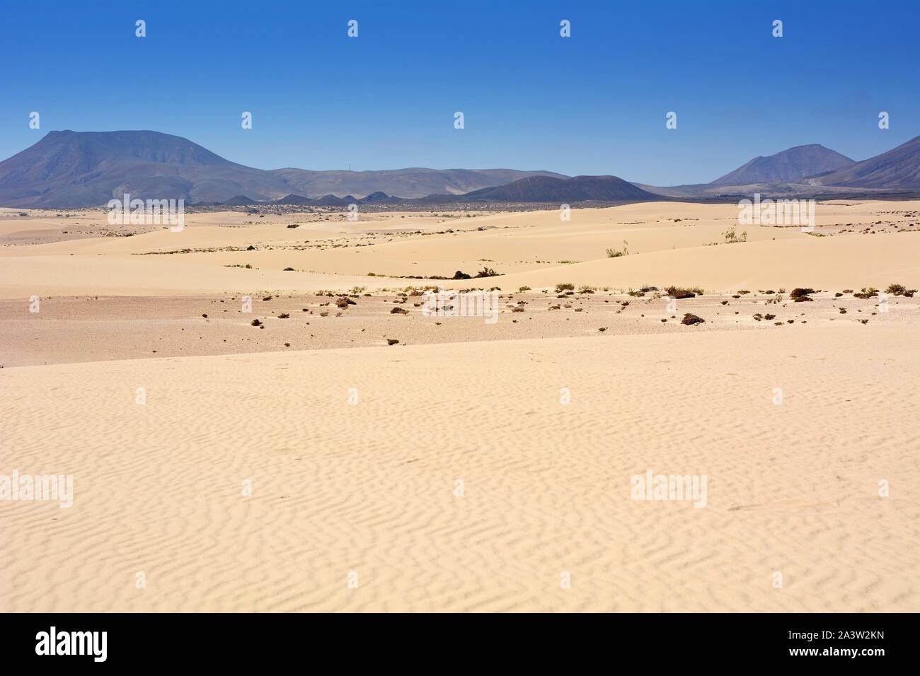 Dune di sabbia dorata nel Parque Natural Corralejo a nord-est dell isola di Fuerteventura. Foto Stock