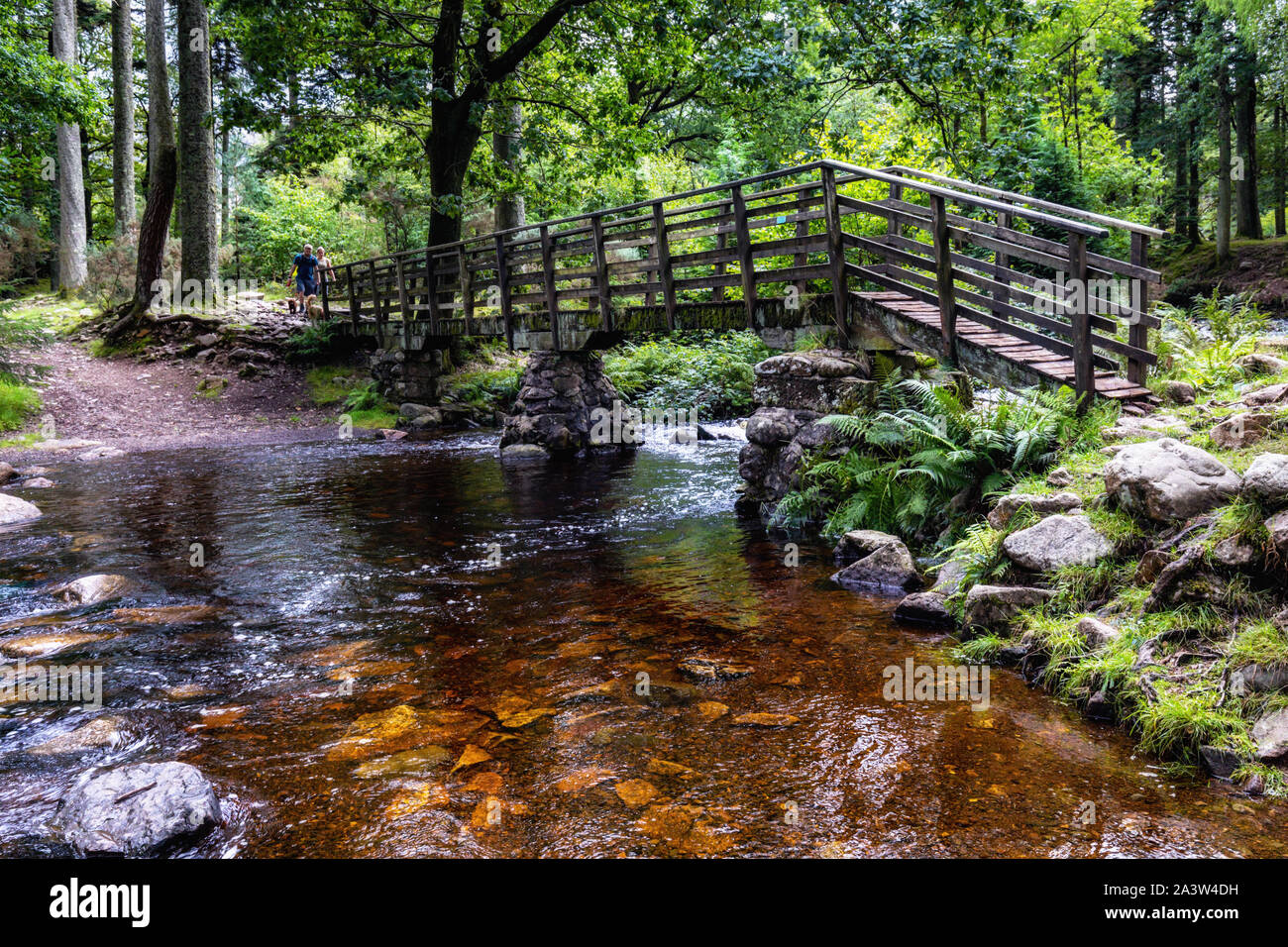 Ponte sul fiume Esk, vicino Dalegarth cade, Lake District, Cumbria, Inghilterra Foto Stock