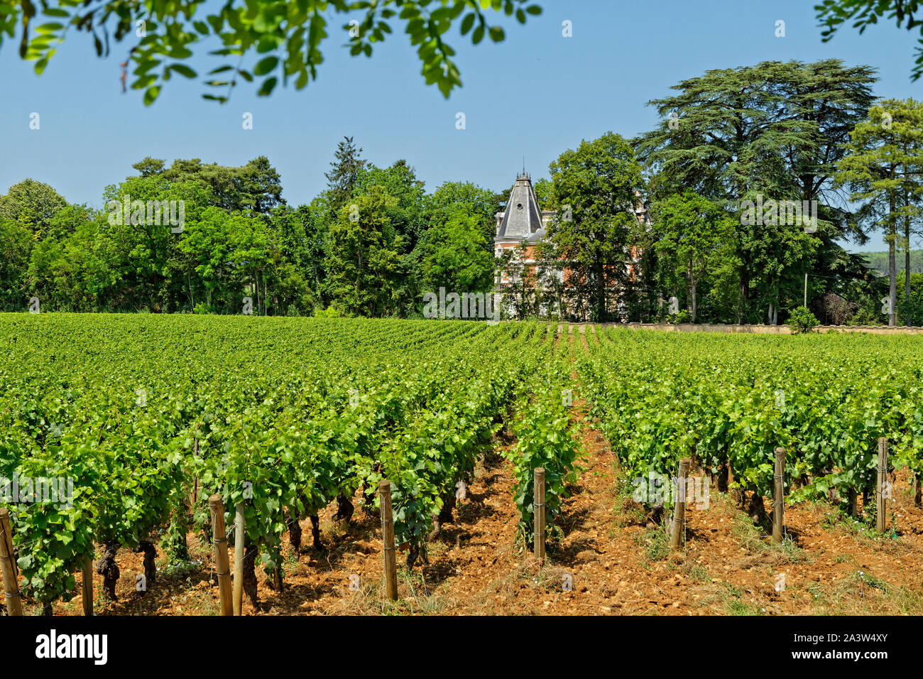 Vigneti a villaggio di Nuits Saint-Georges nella regione Borgogna, Borgogna Franche-Compté , Francia. Foto Stock