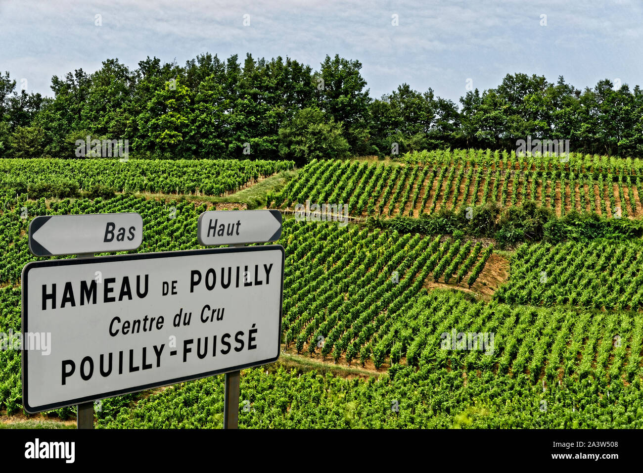 Hameau de Pouilly segno e vigneti di area Pouilly-Fuissé, vicino a Macon, regione Borgogna, in Francia. Foto Stock