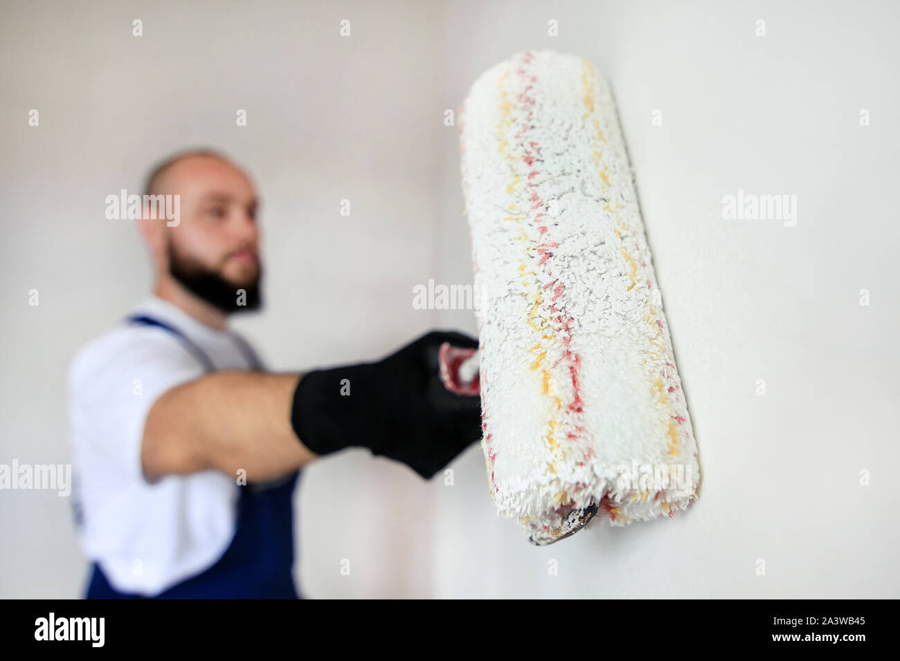 Operaio edile finitura facendo lavori di rinnovo nell'appartamento. Pittore professionista contraente utilizzando vernice bianca spazzola a rullo pittura del muro di cemento. Foto Stock