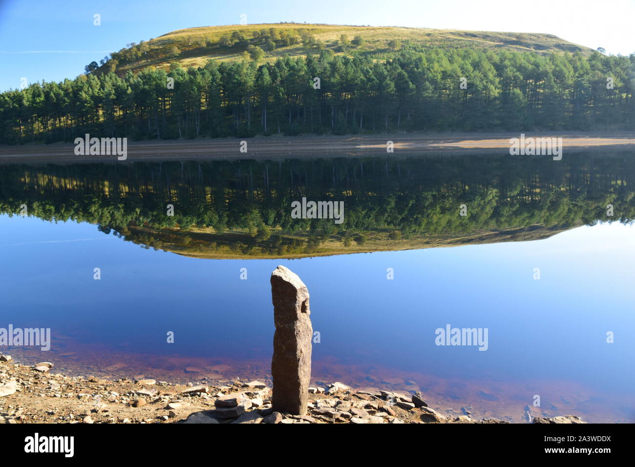 Howden Reservoir Derbyshire, a metà estate che mostra specchio come superficie d'acqua con incredibili riflessi della riva opposta. Foto Stock