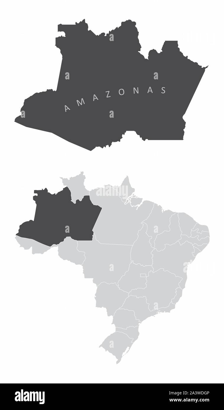 Stato di Amazonas Brasile Illustrazione Vettoriale